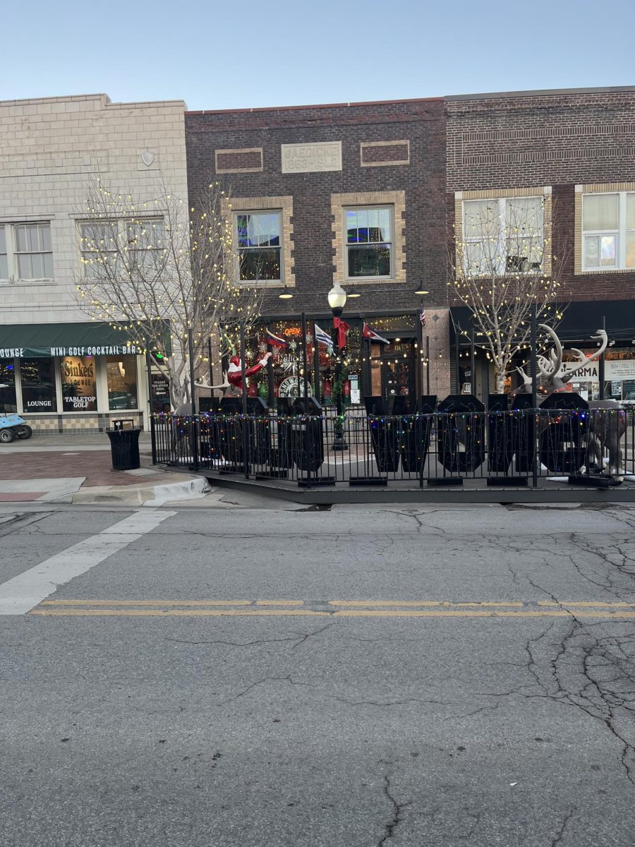 Delicias Del Sur is on the 700 block of Massachusetts street sandwiched between Blade and Timber and Guitarma. Delicias brought excellent South American and Caribbean food to downtown Lawrence in March of this year. 