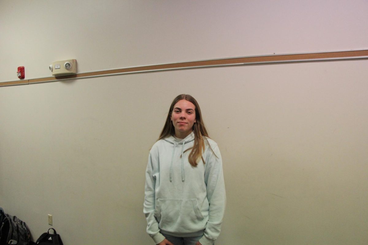 Spotlight: Amelia Rozzi